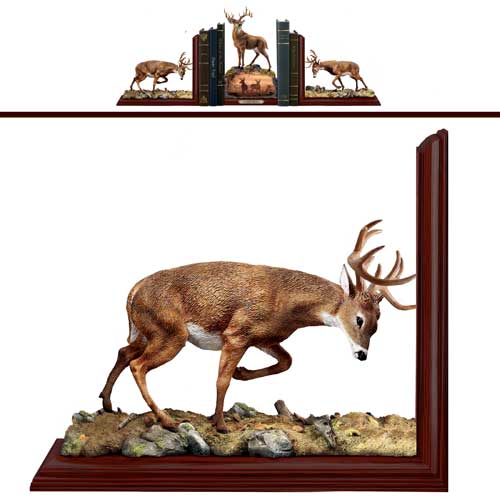 (B) BOOKENDS - Hayden Lambson's NATURE'S NOBILITY 0121771001-T